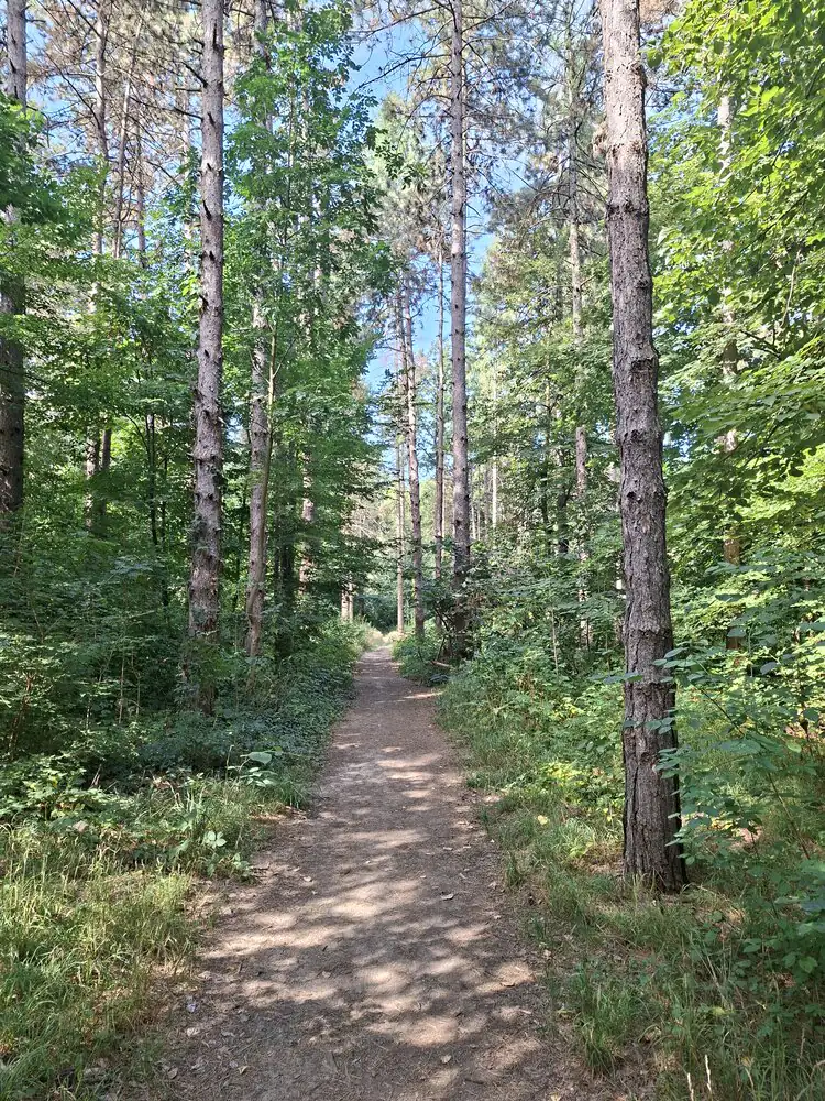 Miljakovačka šuma