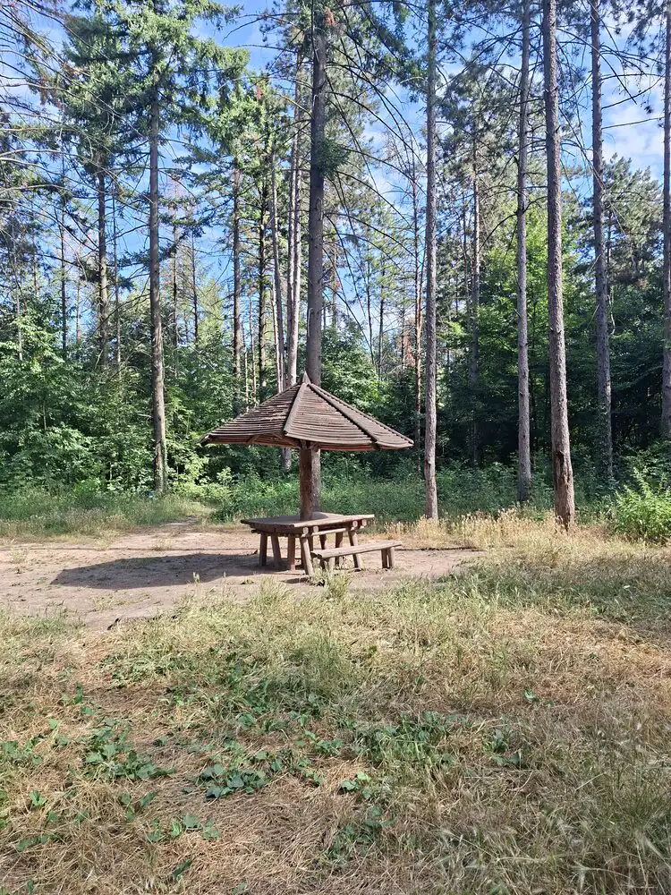 Miljakovačka šuma